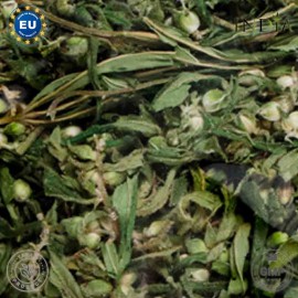 Té de cáñamo ecologico con CBD indiacosmetics