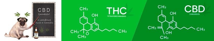 ACEITE DE CÁÑAMO Y ACEITE DE CBD