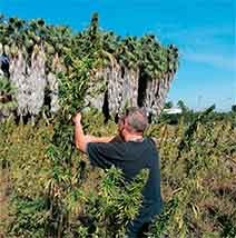 EVENTOS, FERIAS Y COLABORACIONES